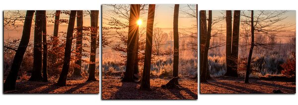 Obraz na plátně - Podzimní ráno v lese - panoráma 5251D (90x30 cm)