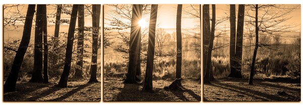 Obraz na plátně - Podzimní ráno v lese - panoráma 5251FB (90x30 cm)