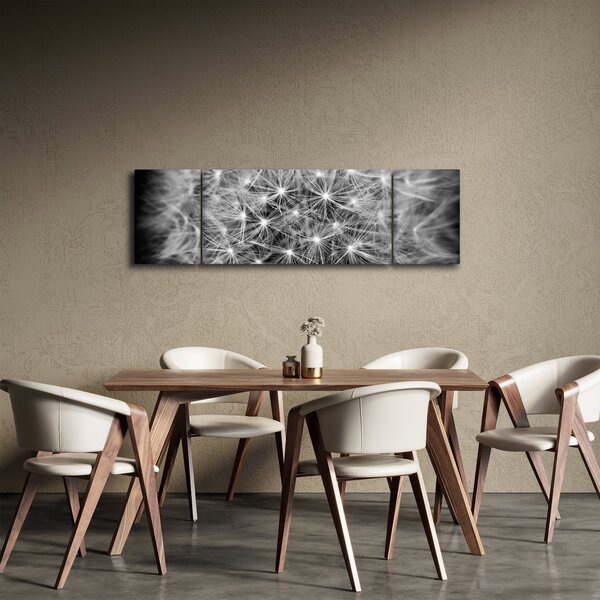 Obraz šedé pampelišky (170x50 cm)
