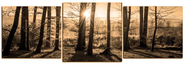 Obraz na plátně - Podzimní ráno v lese - panoráma 5251FD (90x30 cm)