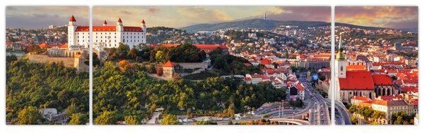 Obraz - Panorama Bratislavy, Slovensko (170x50 cm)