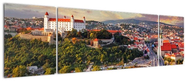 Obraz - Panorama Bratislavy, Slovensko (170x50 cm)