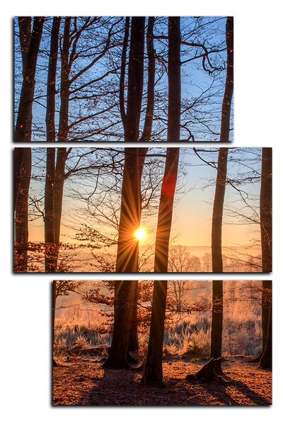 Obraz na plátně - Podzimní ráno v lese - obdélník 7251D (90x60 cm)
