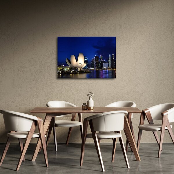 Obraz nočního Singapouru (70x50 cm)