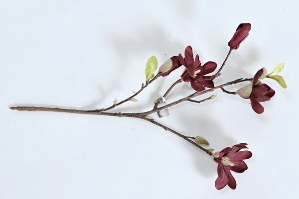 Hitra Květina/dekorace magnolie