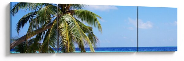 Obraz palmy na pláži (170x50 cm)