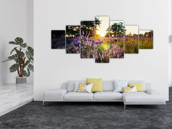 Obraz pole levandulí (210x100 cm)