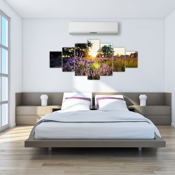 Obraz pole levandulí (210x100 cm)
