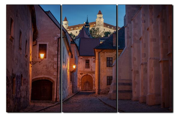 Obraz na plátně - Bratislava staré město s hradem vzadu 1265B (90x60 cm )