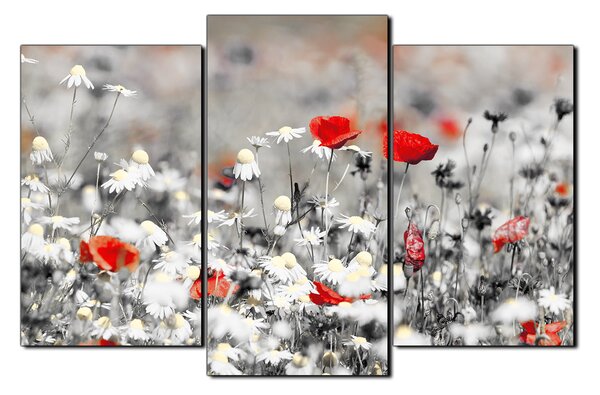 Obraz na plátně - Jarní louka 1264QC (90x60 cm)