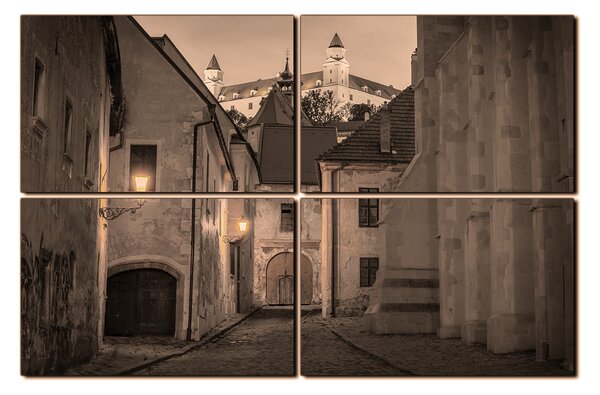 Obraz na plátně - Bratislava staré město s hradem vzadu 1265FE (90x60 cm)
