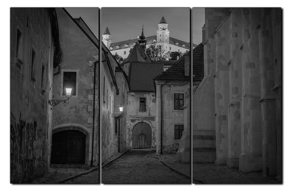 Obraz na plátně - Bratislava staré město s hradem vzadu 1265QB (90x60 cm )