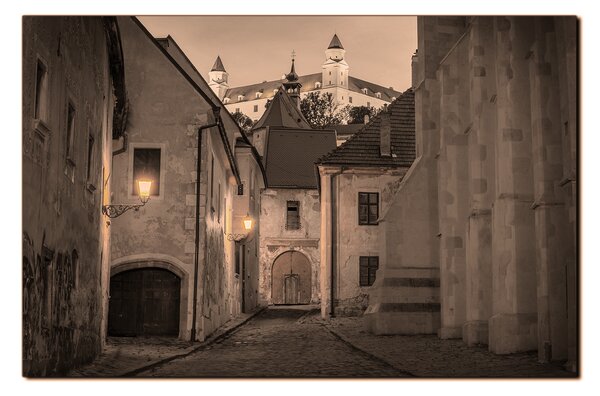 Obraz na plátně - Bratislava staré město s hradem vzadu 1265FA (60x40 cm)
