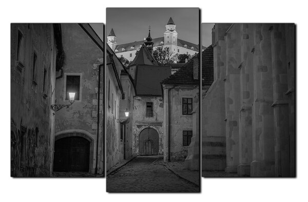 Obraz na plátně - Bratislava staré město s hradem vzadu 1265QC (90x60 cm)