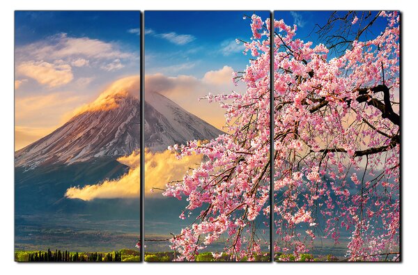 Obraz na plátně - Hora Fuji a třešňové květiny na jaře 1266B (90x60 cm )