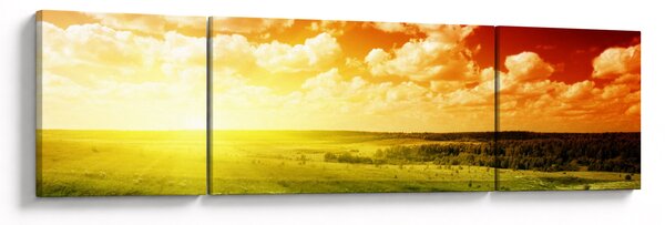 Obraz letní louky (170x50 cm)
