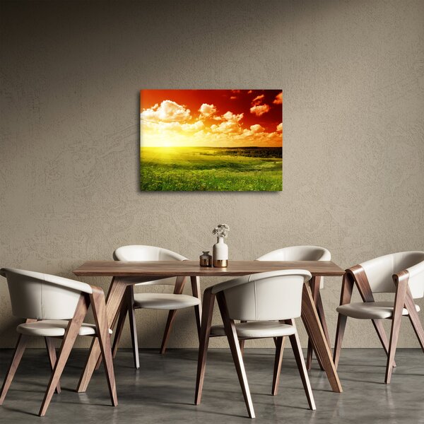 Obraz letní louky (70x50 cm)