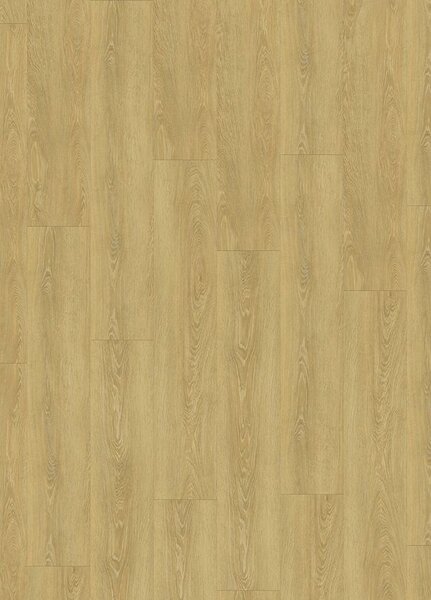 Breno Vinylová podlaha SENSO 55 RIGID ACOUSTIC EIR CLICK 1540 Meadow Honey - světle hnědé dřevo