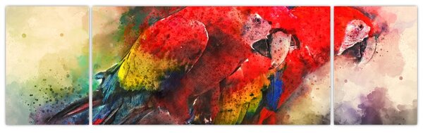 Obraz červených papoušků ara (170x50 cm)