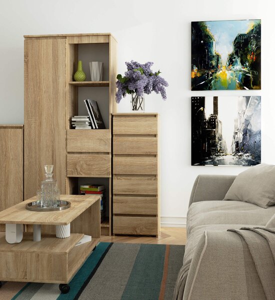 Ak furniture Komoda CL6 40 cm dub sonoma