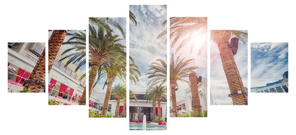 Obraz - palmy s bazénem (210x100 cm)