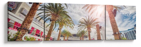 Obraz - palmy s bazénem (170x50 cm)