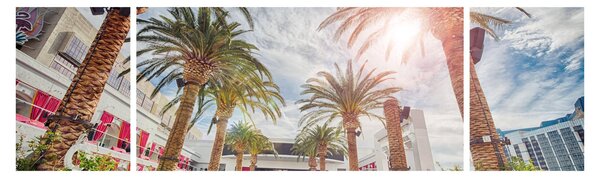 Obraz - palmy s bazénem (170x50 cm)
