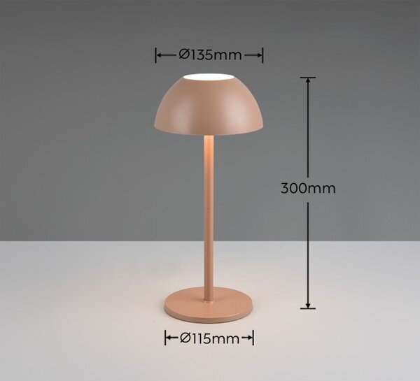 TRIO Reality R54106165 RICARDO dotyková stolní lampička v300mm SMD LED 1,7W/240lm 3000K IP54 kávová