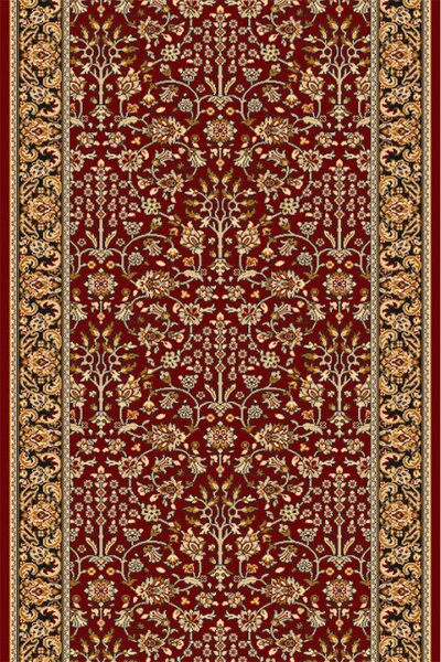 Běhoun Agnella Isfahan Itamar Rubin