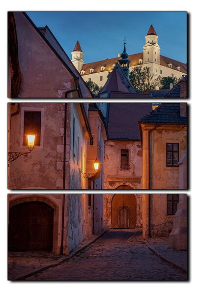 Obraz na plátně - Bratislava staré město s hradem vzadu- obdélník 7265B (90x60 cm )