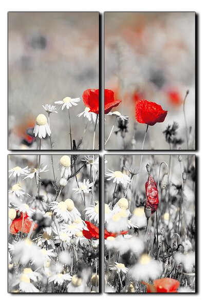 Obraz na plátně - Jarní louka- obdélník 7264QE (90x60 cm)