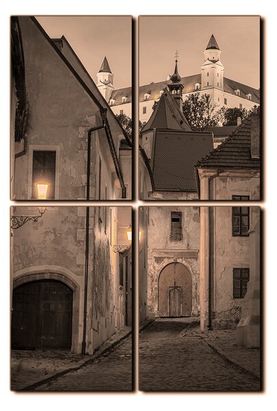 Obraz na plátně - Bratislava staré město s hradem vzadu- obdélník 7265FE (90x60 cm)