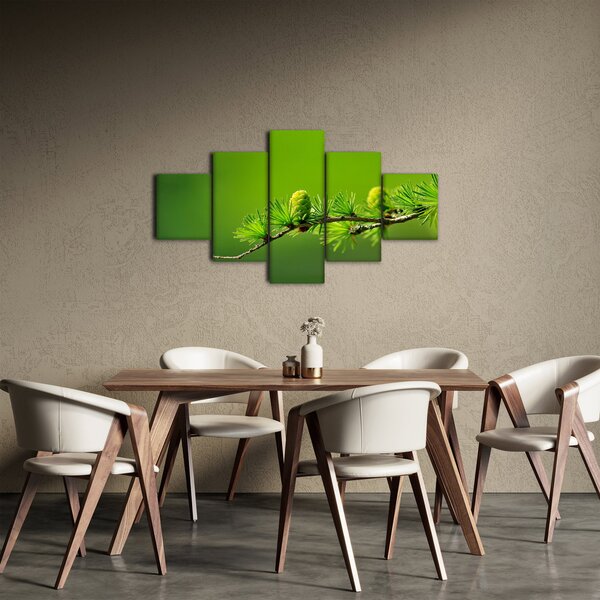 Obraz zelené šišky (125x70 cm)
