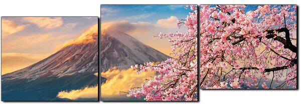 Obraz na plátně - Hora Fuji a třešňové květiny na jaře- panoráma 5266E (90x30 cm)