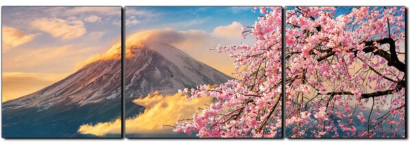 Obraz na plátně - Hora Fuji a třešňové květiny na jaře- panoráma 5266C (90x30 cm)