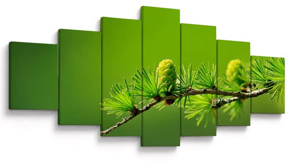 Obraz zelené šišky (210x100 cm)