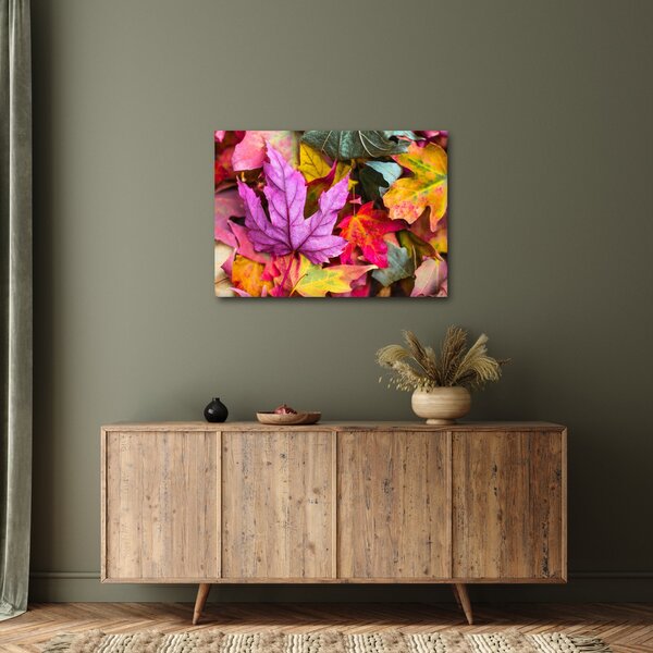 Obraz - podzimní listy (70x50 cm)