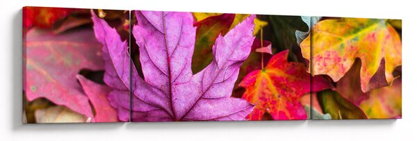 Obraz - podzimní listy (170x50 cm)
