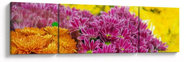 Obraz růžové květiny (170x50 cm)