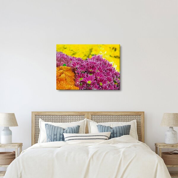 Obraz růžové květiny (70x50 cm)
