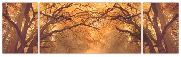 Obraz cesty v podzimní krajině (170x50 cm)