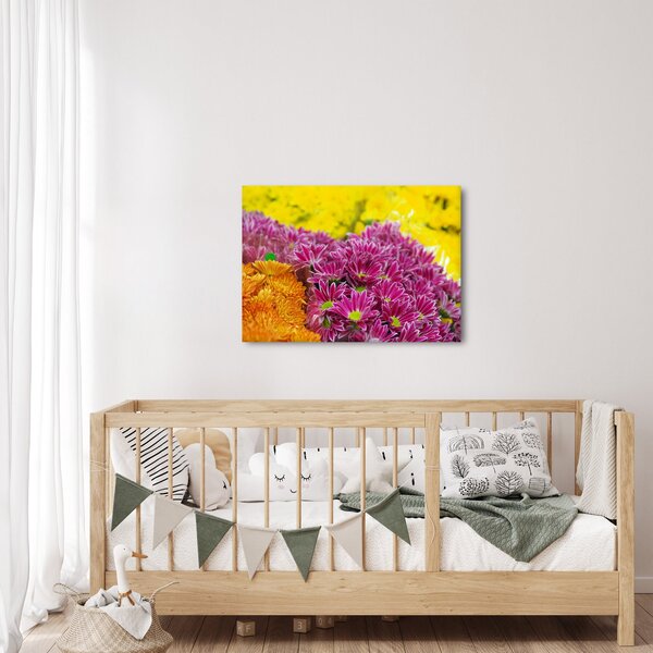 Obraz růžové květiny (70x50 cm)