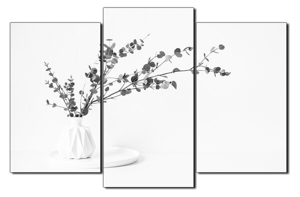 Obraz na plátně - Větev eukalyptu v bílé váze na bílém pozadí 1272QC (150x100 cm)