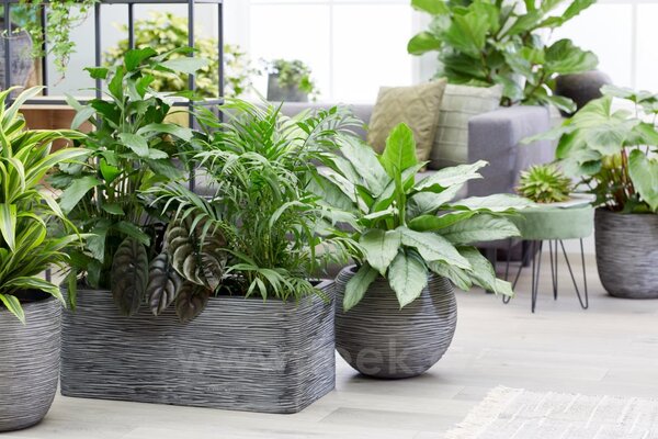 Capi Europe Květináč obdélníkový Rib NL, Capi, 73x39x32 cm, recyklovatelná PE směs, barva anthracite