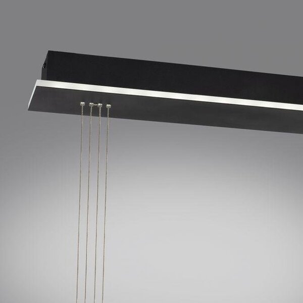Paul Neuhaus Závěsné LED svítidlo Q-ETIENNE 21,7W, š. 65 cm, CCT 2700-5000K, dálkové ovládání