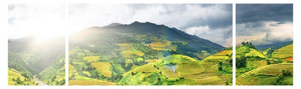 Obraz plantáže (170x50 cm)
