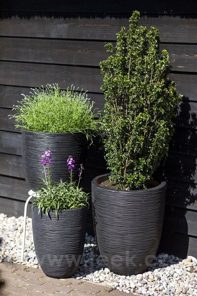 Capi Europe Květináč kulatý Rib NL, Capi, průměr 55 cm, výška 53 cm, recyklovatelná PE směs, barva black