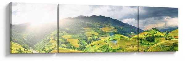 Obraz plantáže (170x50 cm)