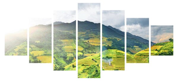 Obraz plantáže (210x100 cm)