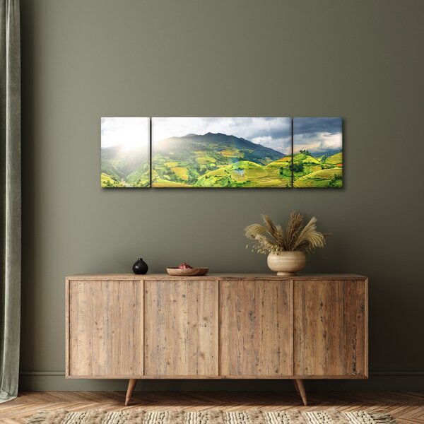 Obraz plantáže (170x50 cm)